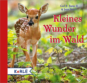 Kleines_Wunder_im_Wald.jpg 