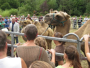 Kameltaufe im Tierpark Zittau