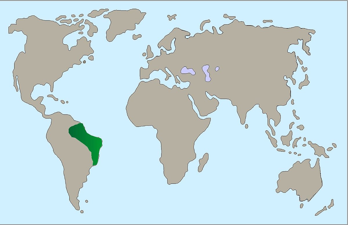 Weißbüscheläffchen Verbreitung Karte 