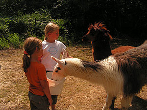 Tierpark Zittau auf der Konventa