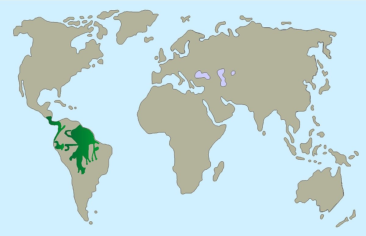Gelbbrust Ara Verbreitung Karte 