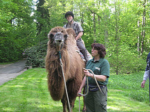 Tierpark Zittau auf der Konventa