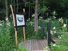 Tümpelplattform im Zoo Zittau