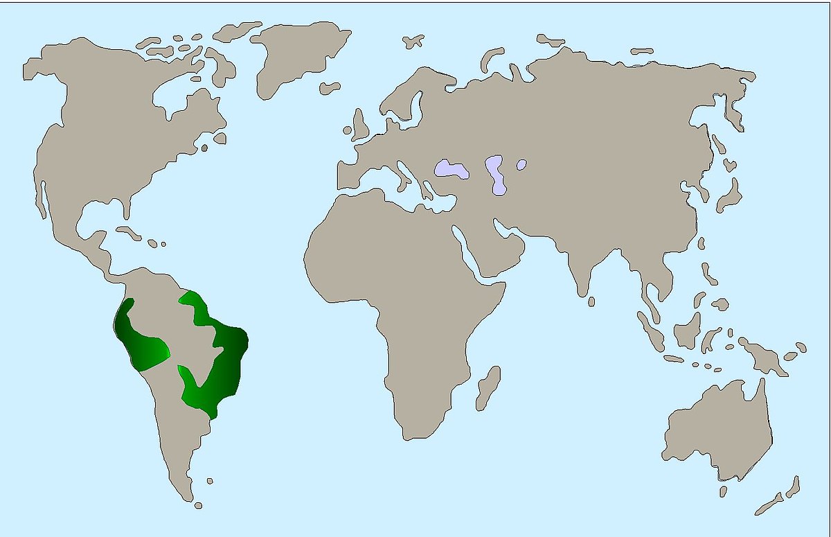 Nasenbär Verbreitung Karte 