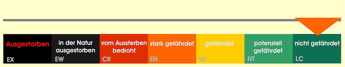 Status Bedrohung Emu 