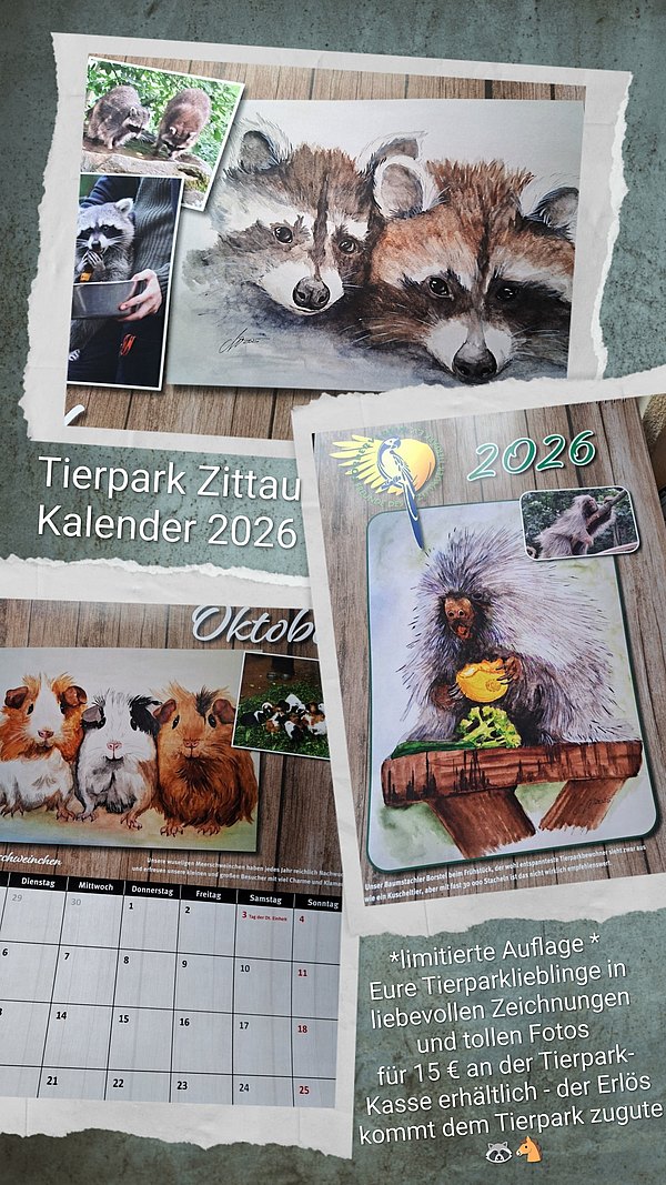 Tierpark Kalender 2026 