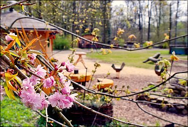 Frühlingsblüten im Zoo Zittau 