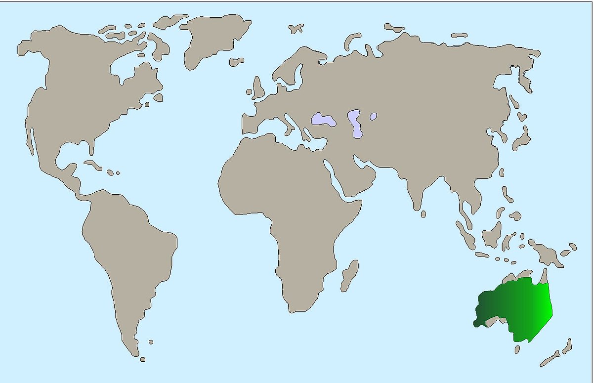 Spitzschopftaube Verbreitung Karte 