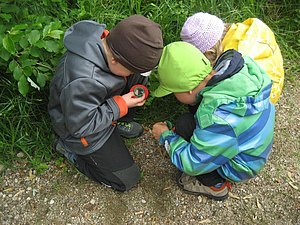 Mit der Becherlupe auf Entdeckungsreise