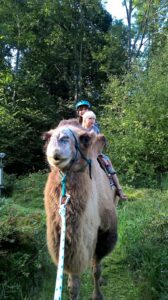 Drei Freunde Kamelreiten im Tierpark Zittau 01