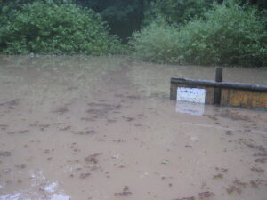 Flut 2010 Tierpark Zittau 10