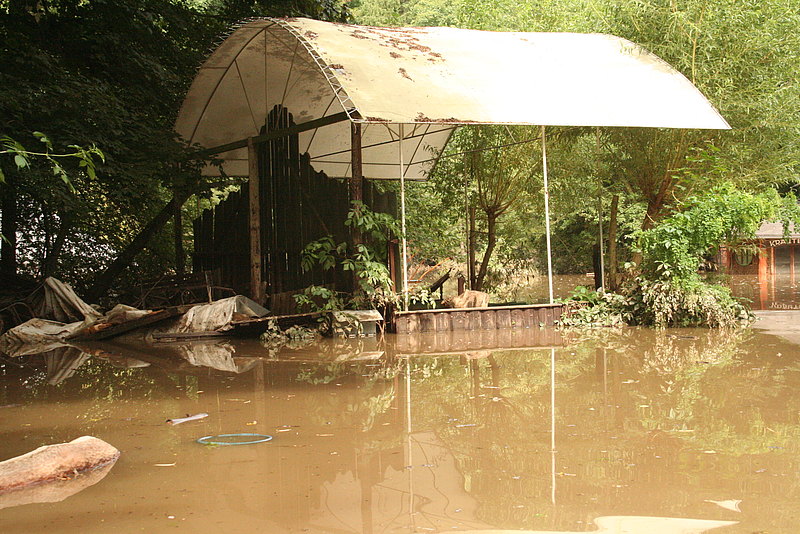 Flut 2010 Tierpark Zittau 6