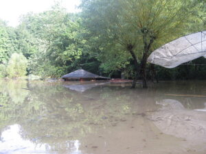 Flut 2010 Tierpark Zittau 7