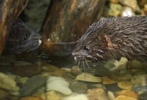 Foto Andreas Heiland