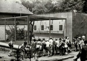 HIS Affengehege 1965