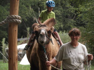 Kamelreiten Zoo Zittau