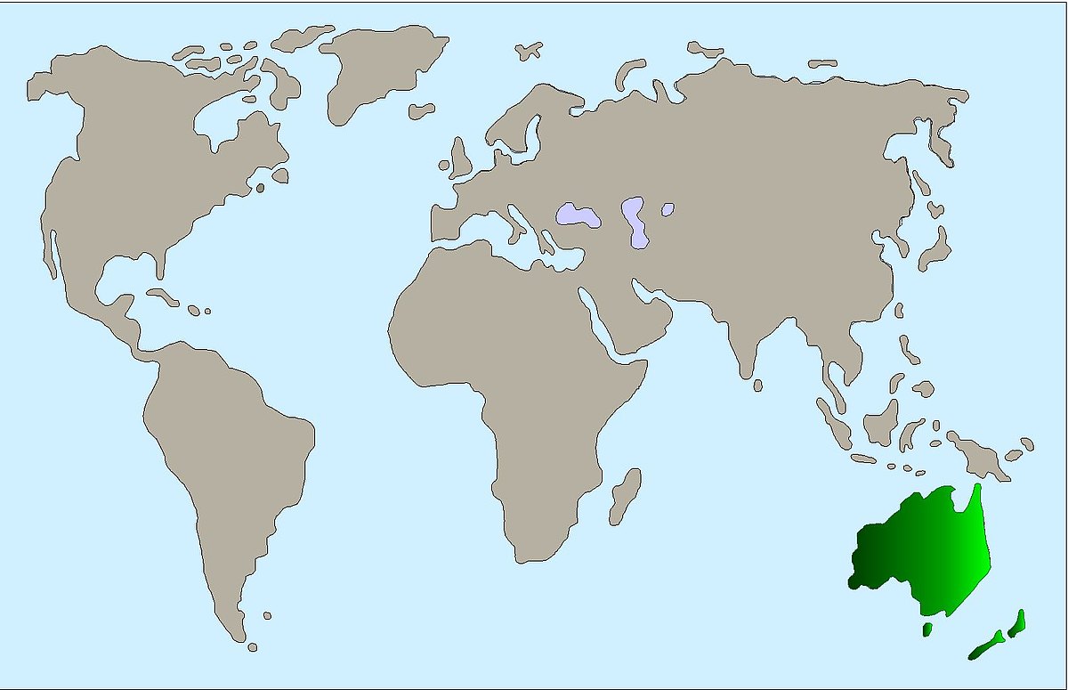 Karte Lachender Hans dffd06055a