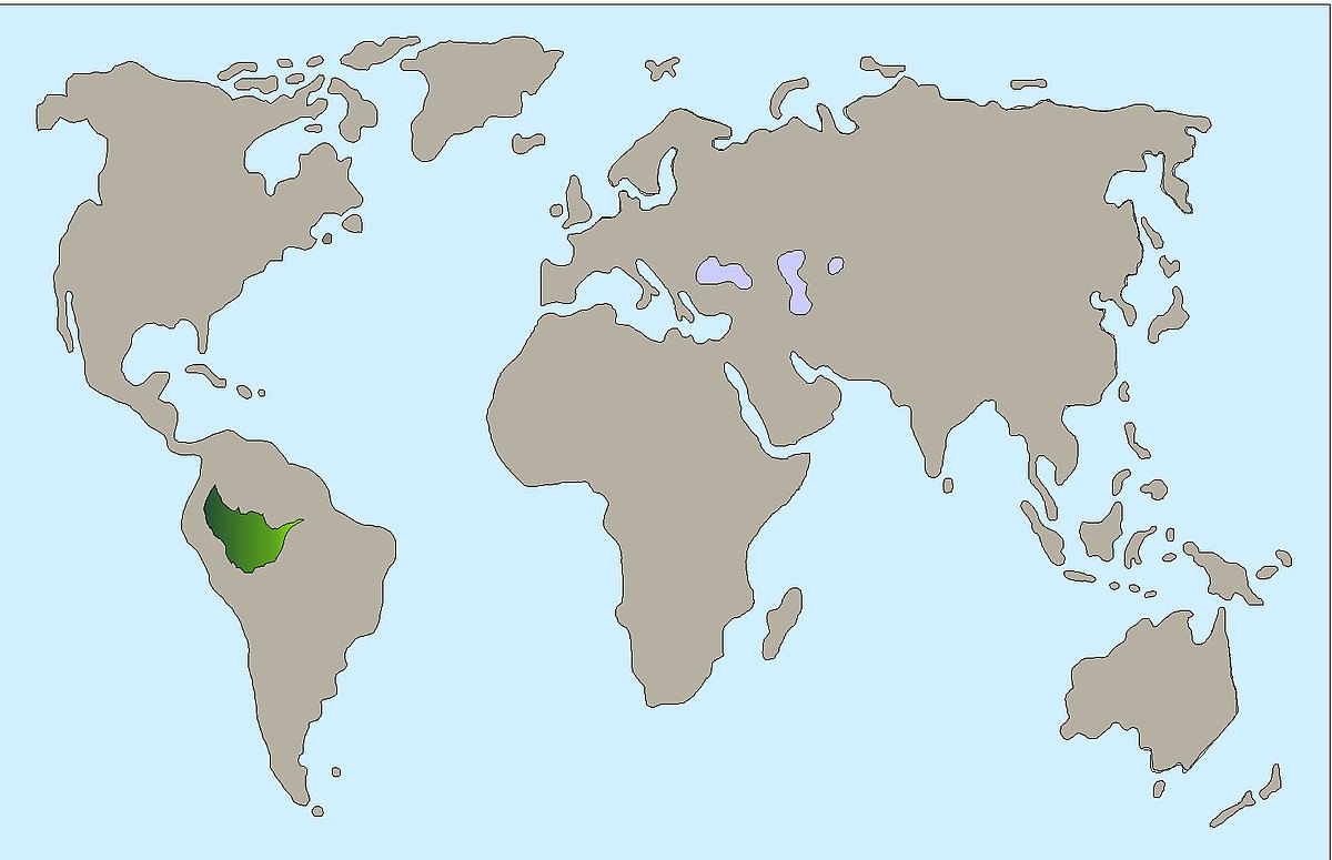 Karte Zwergseidenaeffchen 793a48e62d