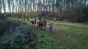 Kleine Kamel Karawane 01