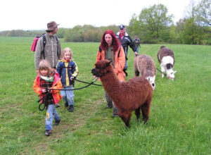 Lamawandern Tierpark Zittau