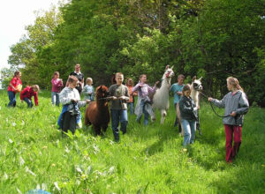 Lamawanderung Tierpark Zittau