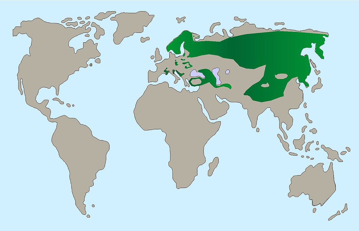 Luchs Karte Eurasien bfc10ea7a4