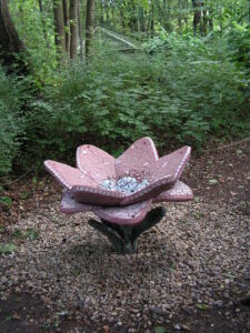 Maerchenpfad Wunderblume