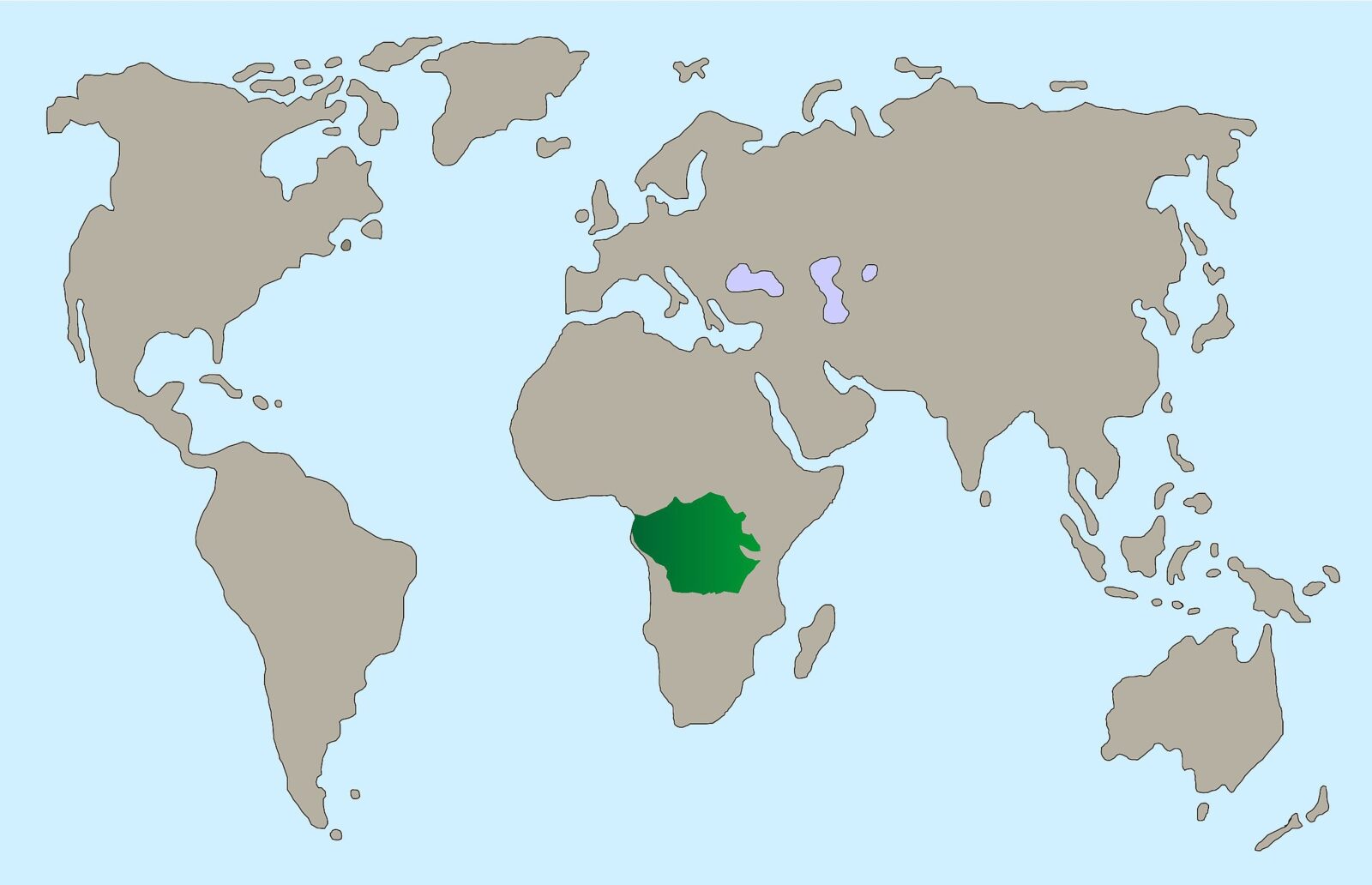 Rueckenschwimmender Kong Wels Karte fbdf4aac43