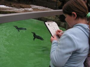 So macht lernen Spass