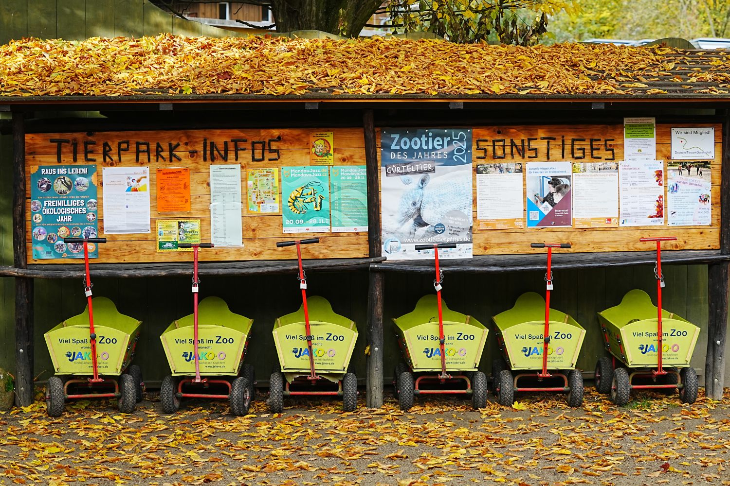 Tierpark Zittau Herbst ()