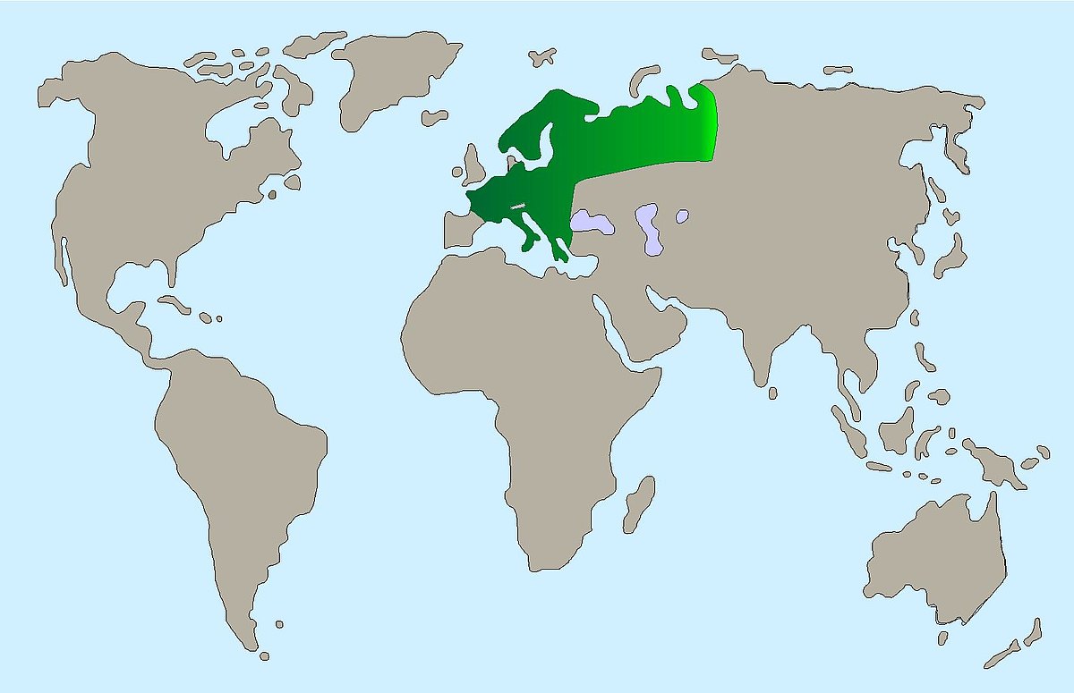 Uhu Karte c7bda238f0 Uhu Karte c7bda238f0