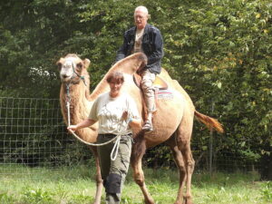 Wuestenschiff Romantik