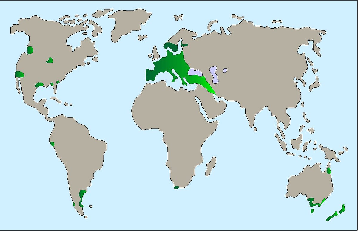 csm Damwild Karte 0abc6875b9