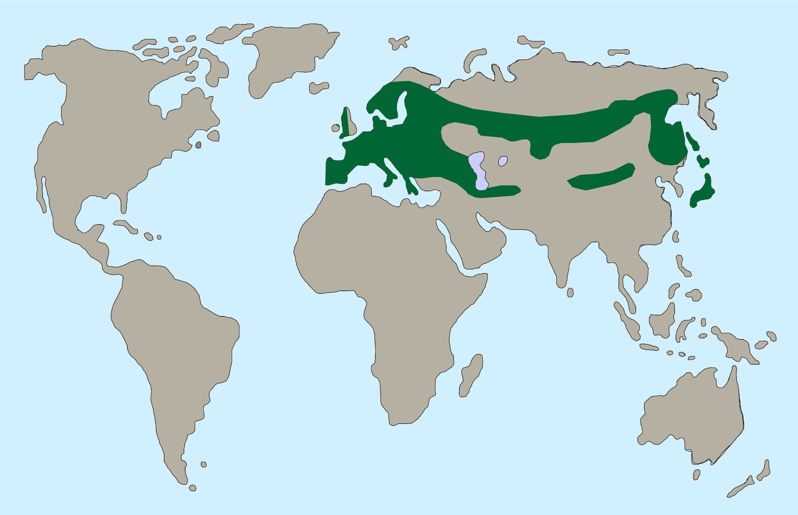 csm Maeusebussard Karte 28e0b7c272 csm Maeusebussard Karte 28e0b7c272