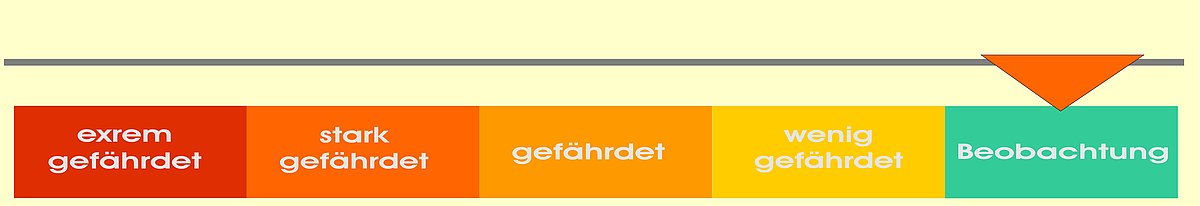 csm Orpington 3c3277dbf9