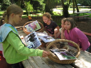 Welche Wolle gehört zu welchem Tier Naturprojekt