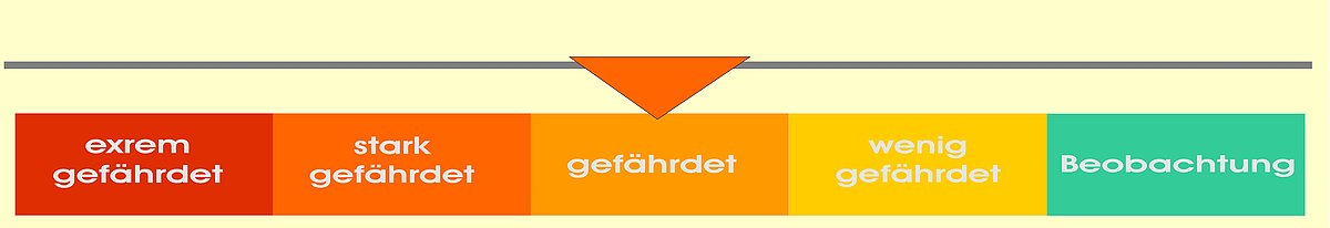 csm barthuhn ff41afa58c