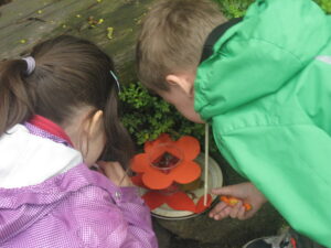 spannendes Kraeuterprojekt