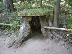 wurzel waldgeisterspielplatz