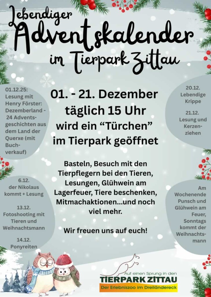 Lebendiger Adventskalender