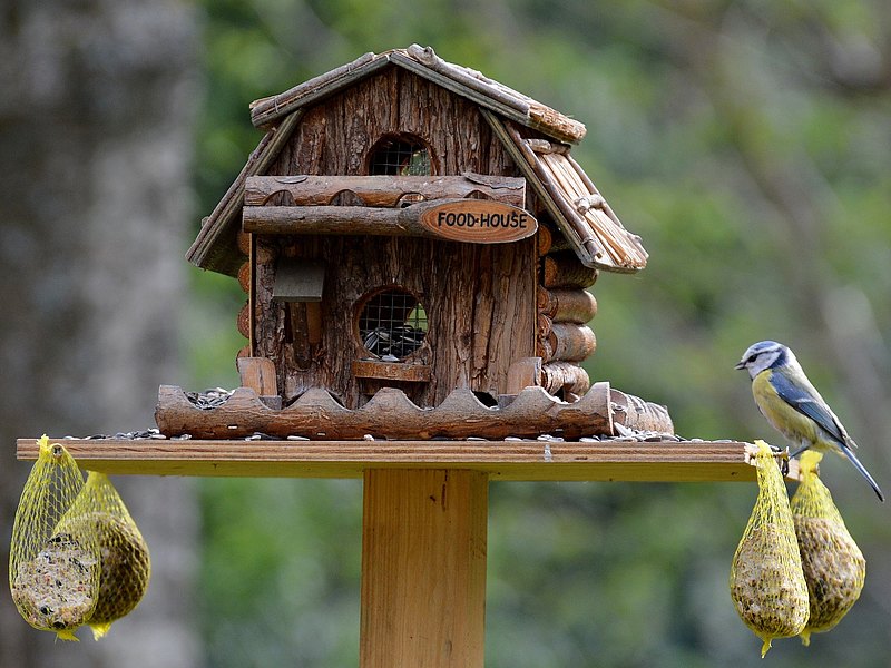 Vogelhaus