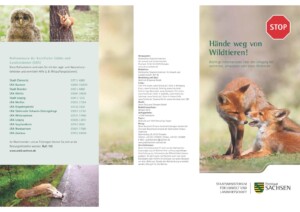 Umgang mit verletzten Wildtieren