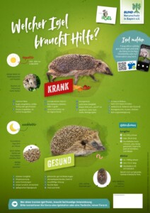 Welcher Igel braucht Hilfe Infoblatt