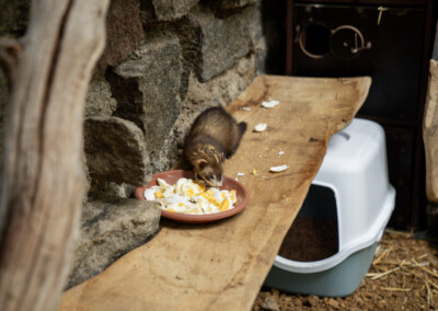 Spielen macht hungrig