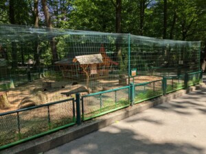 Meerschweinchengehege mit Netz