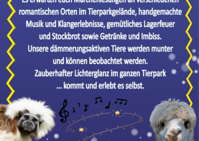 Klang- und Märchennacht Programm