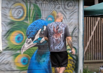 Pfau am Huzulenstall - es wird schön