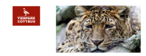 Zoo Ausfahrt Tierpark Cottbus b