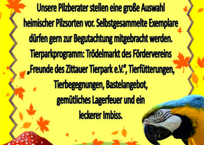 Programm Pilzausstellung 25.10.26