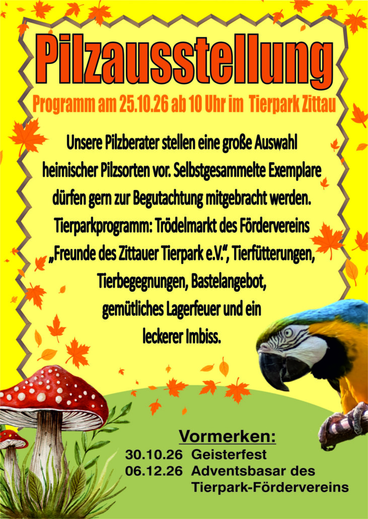 Programm Pilzausstellung 25.10.26